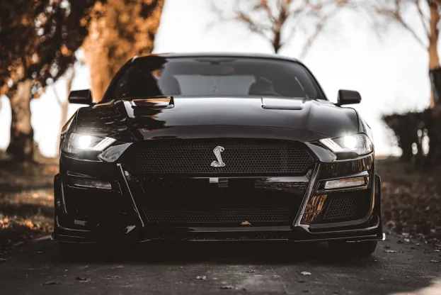 Pure Kasino Android/iOS Aplikácia